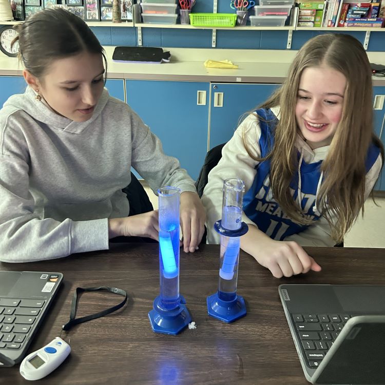 SMS 7th Grade Science Rates of Reaction